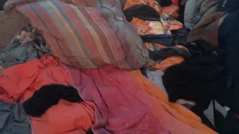 mesa_von7 online show from June 5, 2026, 10:32 am