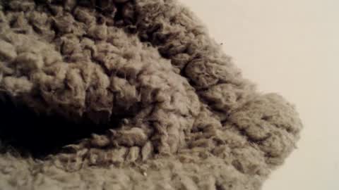 Snapshot of mesmerize88 chatting on February 1, 2025, 5:37 pm Mauro online show from February 1, 2025, 5:37 pm