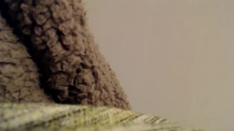 Snapshot of mesmerize88 chatting on February 6, 2025, 11:37 pm Mauro online show from February 6, 2025, 11:37 pm