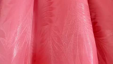 Snapshot of mia_nova5 chatting on July 6, 2026, 11:51 am mia_nova5 online show from July 6, 2026, 11:51 am