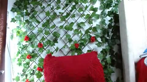 Snapshot of mia_squirt_big chatting on December 6, 2024, 12:49 pm Mia squirt big INDEPENDENT MODEL...ONLYFANS online show from December 6, 2024, 12:49 pm