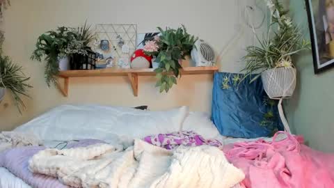 Snapshot of miaa_rose__ chatting on December 20, 2024, 10:16 am Miaa online show from December 20, 2024, 10:16 am