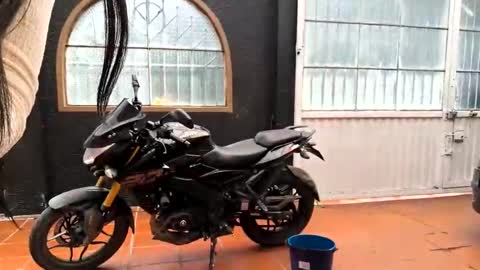 miaoconell online show from October 13, 2025, 7:03 pm