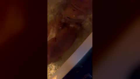 michelsexy69603790 online show from April 12, 2026, 3:44 am