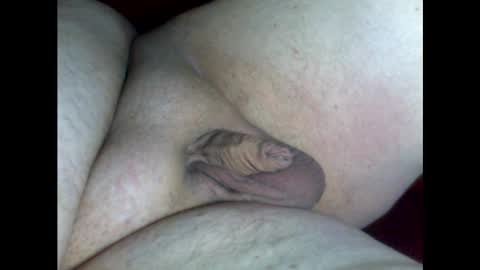 micropimmel online show from January 30, 2025, 6:10 pm