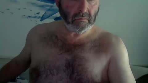 Snapshot of midhir chatting on January 8, 2025, 2:46 pm kike online show from January 8, 2025, 2:46 pm