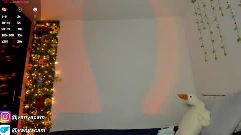 VanyaKlaus online show from November 12, 2025, 3:51 am