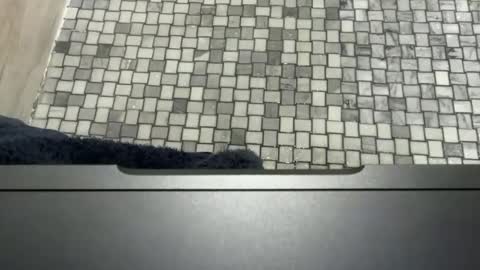 midwestassassin online show from February 11, 2026, 3:28 pm