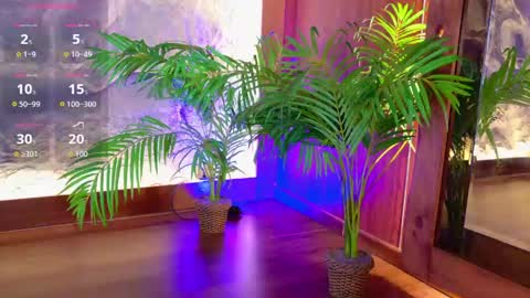 Snapshot of miiaa_cooper chatting on May 19, 2026, 4:24 pm CALL ME MIA online show from May 19, 2026, 4:24 pm
