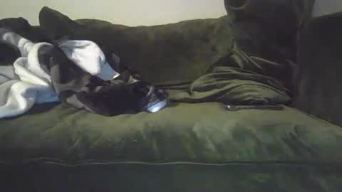 Snapshot of mike_davis44444 chatting on January 31, 2025, 7:07 am mike_davis44444 online show from January 31, 2025, 7:07 am