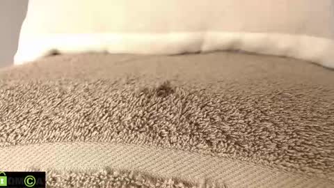 Mikell Williams online show from March 12, 2025, 8:52 pm