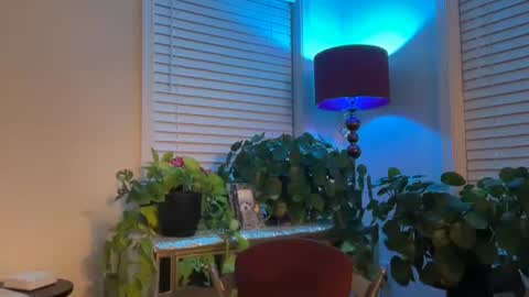 Snapshot of milf_goddess chatting on December 17, 2025, 8:09 am MIlf Goddess online show from December 17, 2025, 8:09 am