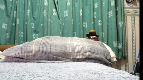 milfy72 online show from January 30, 2025, 10:41 pm