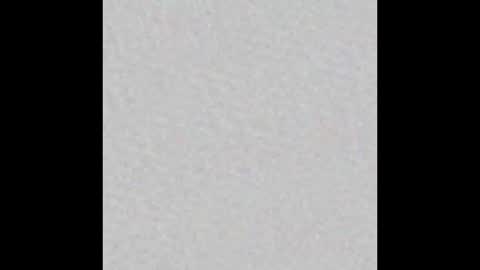 millergardener online show from March 2, 2025, 4:42 pm