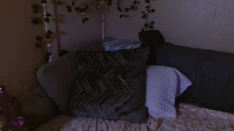 Mindy online show from February 19, 2026, 10:33 am