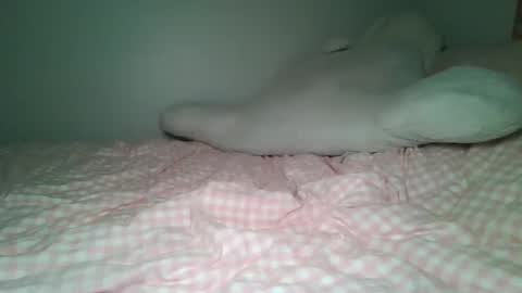 minilynixo online show from June 6, 2026, 3:22 am