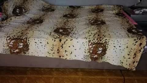 Snapshot of mirahardmanxx chatting on November 10, 2025, 12:37 pm Happy New Year online show from November 10, 2025, 12:37 pm