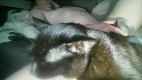 Snapshot of mirtoblack chatting on October 17, 2025, 1:53 am mirtoblack online show from October 17, 2025, 1:53 am