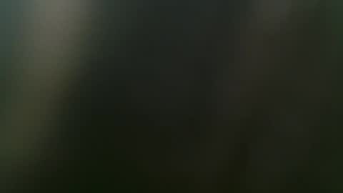 Misha online show from February 15, 2025, 3:50 pm