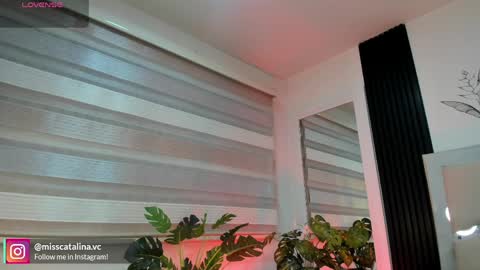 Catalina online show from April 6, 2026, 11:44 am