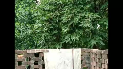 Zoya Khan online show from September 16, 2025, 4:35 am