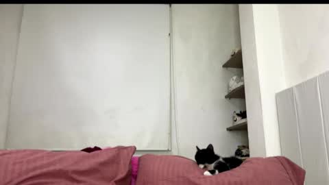 missangeldust online show from October 27, 2025, 11:52 pm