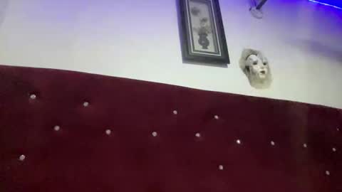 Snapshot of missbellerina chatting on February 28, 2026, 9:16 pm Missbelle online show from February 28, 2026, 9:16 pm