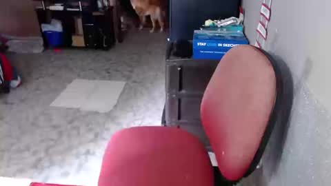 Maria Gomezz online show from March 19, 2026, 4:11 pm