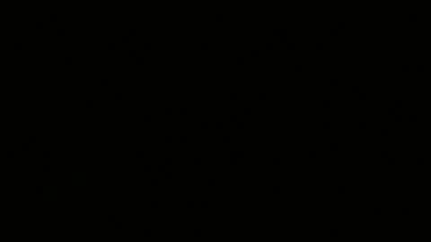 misskatiia online show from September 24, 2025, 6:50 am