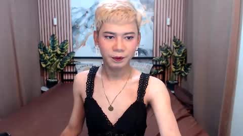 Stella online show from August 5, 2026, 5:54 am
