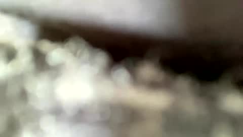 Snapshot of mistajay90 chatting on September 8, 2025, 4:06 pm mistajay90 online show from September 8, 2025, 4:06 pm