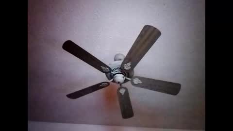 Snapshot of mitchnails69 chatting on December 15, 2024, 7:24 am BobbyMitchGa online show from December 15, 2024, 7:24 am