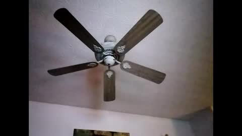 Snapshot of mitchnails69 chatting on December 22, 2024, 12:05 pm BobbyMitchGa online show from December 22, 2024, 12:05 pm