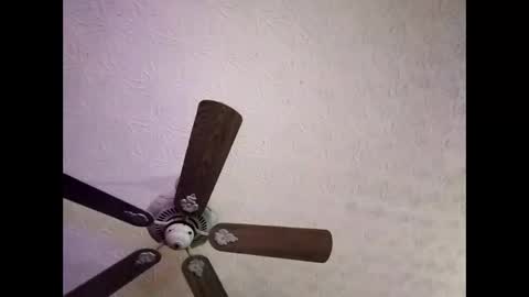 Snapshot of mitchnails69 chatting on January 4, 2025, 6:41 am BobbyMitchGa online show from January 4, 2025, 6:41 am