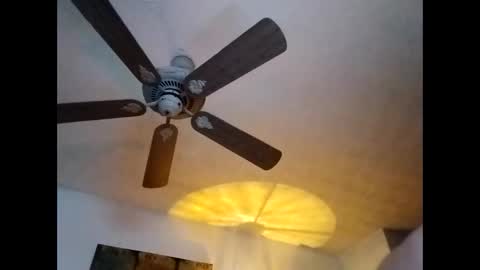 Snapshot of mitchnails69 chatting on January 7, 2025, 1:14 pm BobbyMitchGa online show from January 7, 2025, 1:14 pm