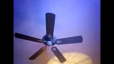 Snapshot of mitchnails69 chatting on January 20, 2025, 5:59 am BobbyMitchGa online show from January 20, 2025, 5:59 am