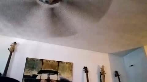 Snapshot of mitchnails69 chatting on September 14, 2025, 6:18 pm BobbyMitchGa online show from September 14, 2025, 6:18 pm