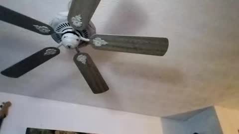 BobbyMitchGa online show from September 27, 2025, 12:10 pm