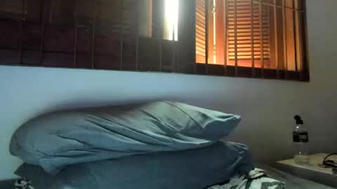 Snapshot of moderdelier chatting on January 2, 2025, 10:11 pm DigBreed online show from January 2, 2025, 10:11 pm