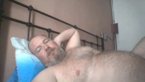 Snapshot of mofu781s chatting on June 11, 2026, 11:52 am mofu781s online show from June 11, 2026, 11:52 am