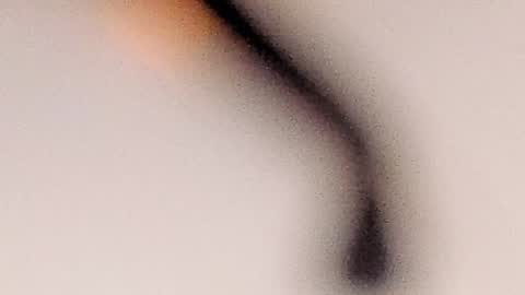 Molly Evanss online show from January 23, 2025, 7:32 am