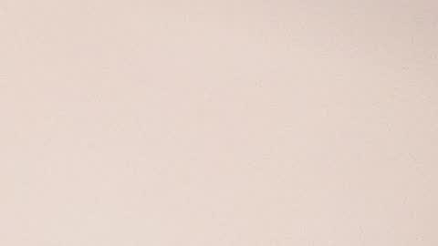 Molly Evanss online show from January 28, 2025, 8:04 am