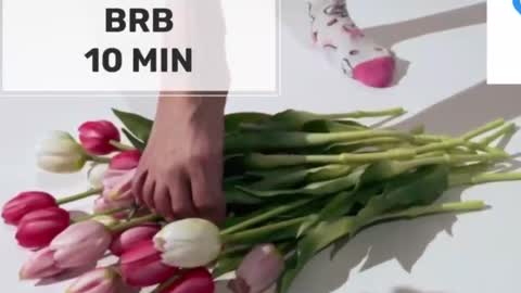 Mommy online show from February 17, 2026, 1:46 am