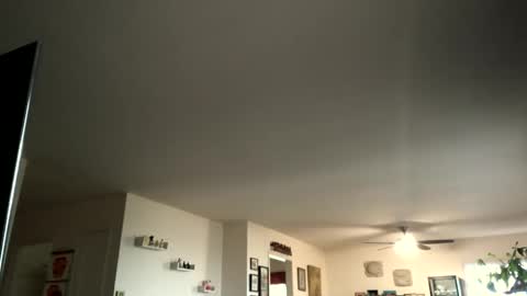 Snapshot of monkeedance chatting on February 4, 2025, 5:12 pm Monkee Dance online show from February 4, 2025, 5:12 pm