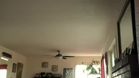 Snapshot of monkeedance chatting on February 16, 2025, 5:37 pm Monkee Dance online show from February 16, 2025, 5:37 pm