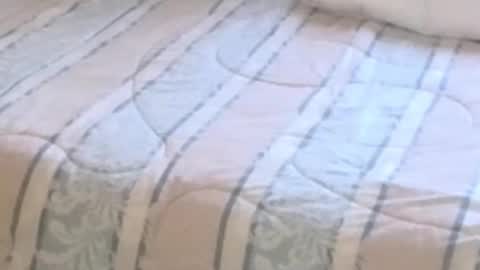 montydxxx2 online show from February 12, 2026, 11:22 pm