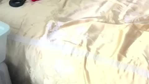 montydxxx2 online show from February 15, 2026, 11:08 am