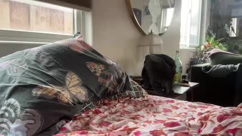 moreplease413 online show from December 27, 2024, 8:18 pm