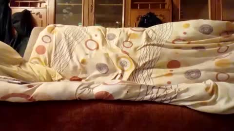 Snapshot of mospeleu chatting on December 8, 2024, 6:01 am Nomadu online show from December 8, 2024, 6:01 am