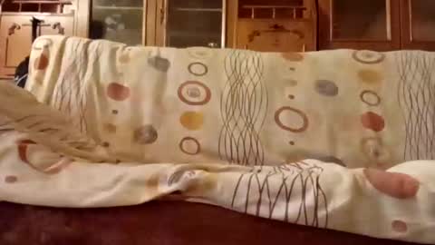 Snapshot of mospeleu chatting on December 11, 2024, 8:04 am Nomadu online show from December 11, 2024, 8:04 am